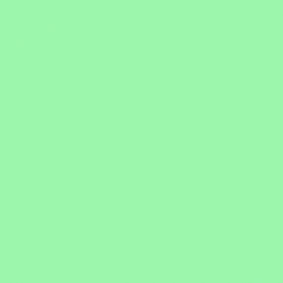 4100839 41 Mint 11,55x11,55
