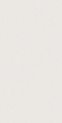 4101023 SCW Flamed 60x120