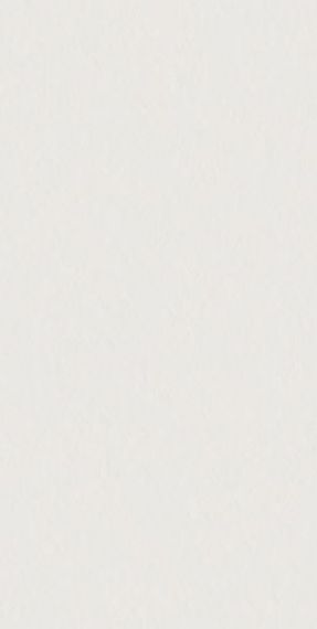 4101023 SCW Flamed 60x120