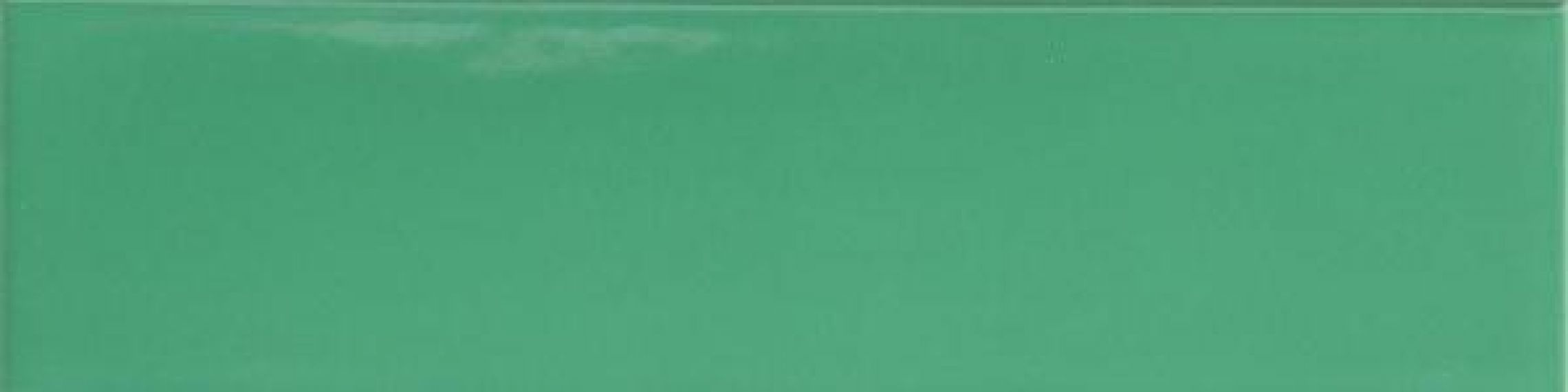 4101046 Green 5x20