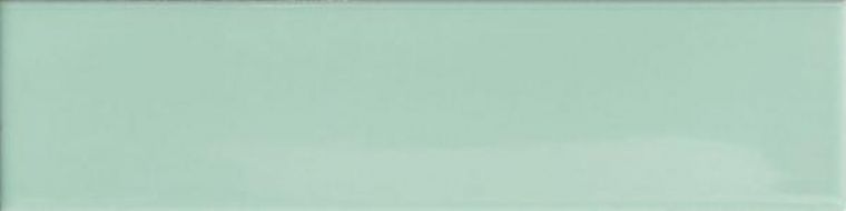 4101047 Mint 5x20