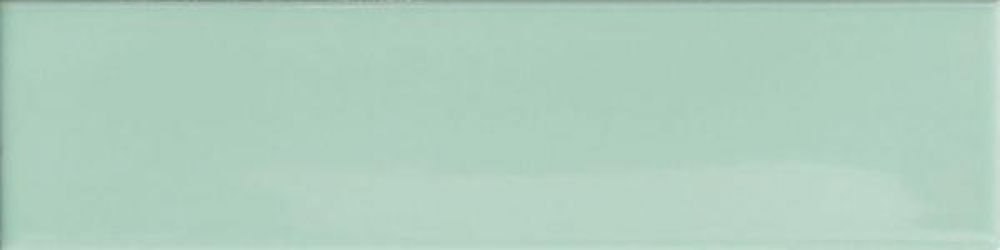4101047 Mint 5x20