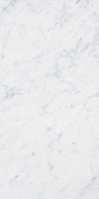 4101065 Керамогранит Italic Carrara 60x120