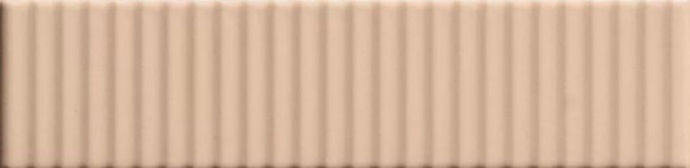 4101165 Biscuit Strip Powder 5x20