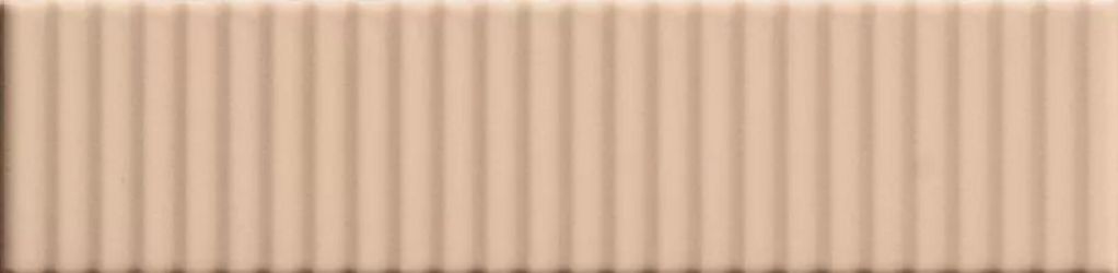 4101165 Biscuit Strip Powder 5x20