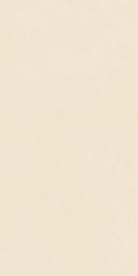 4101215 Nok Ivory 60x120