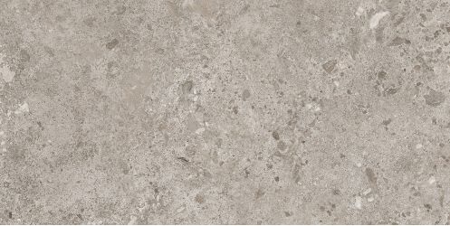 44BZP39 Керамогранит Bierzo Gris Seda 60х120