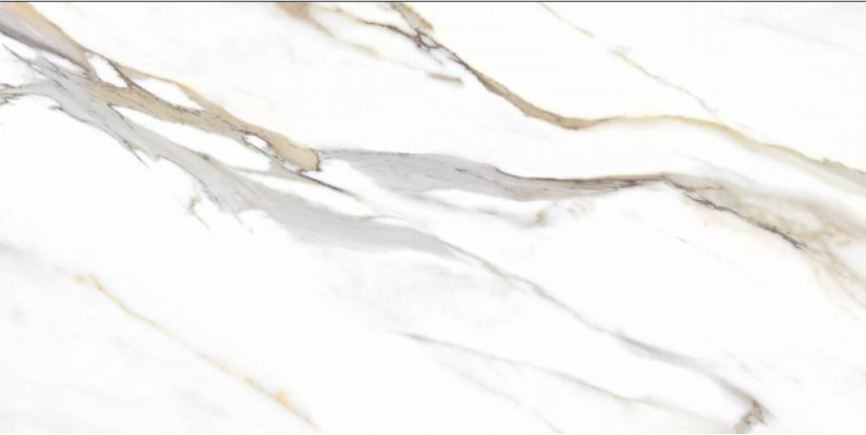 44CL29P Calacata Gold 59x119
