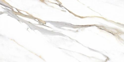 44CL29R Calacata Gold R 60x120