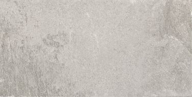 44IN39R INDIANA GRIS REC. R10 60X120