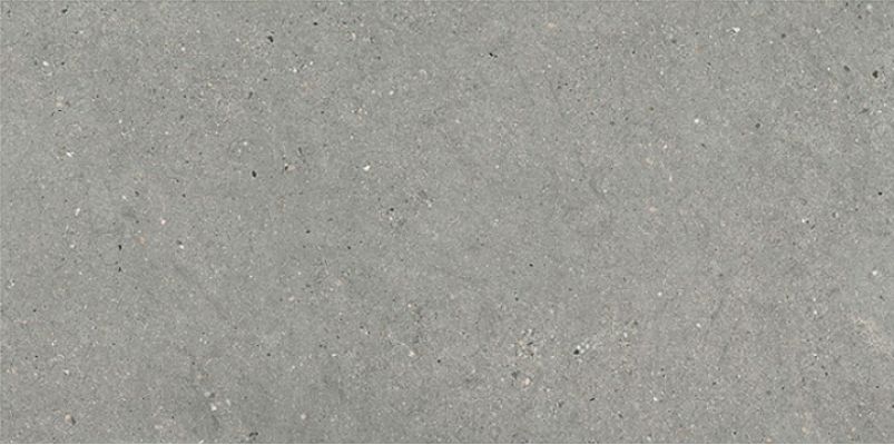 44MI39R MITICA GRIS REC R10 60X120