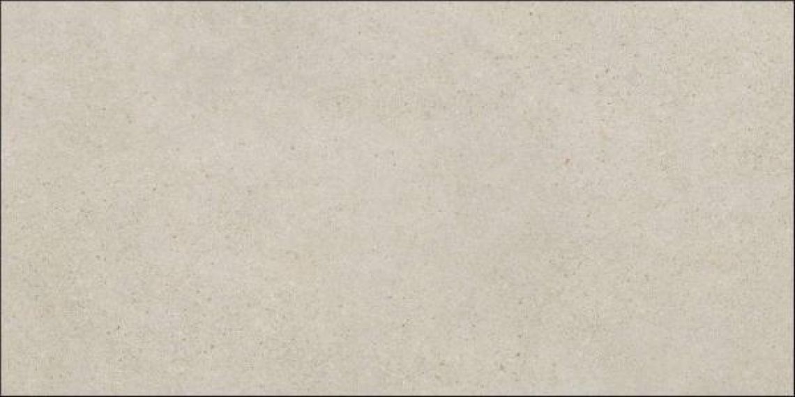 44NG09R Greige 60x120