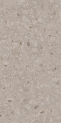 467 Stone Beige 60x120