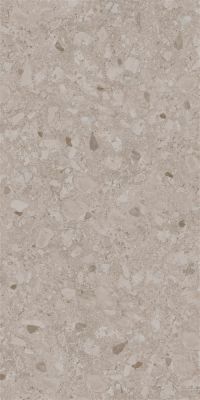 467 Stone Beige 60x120