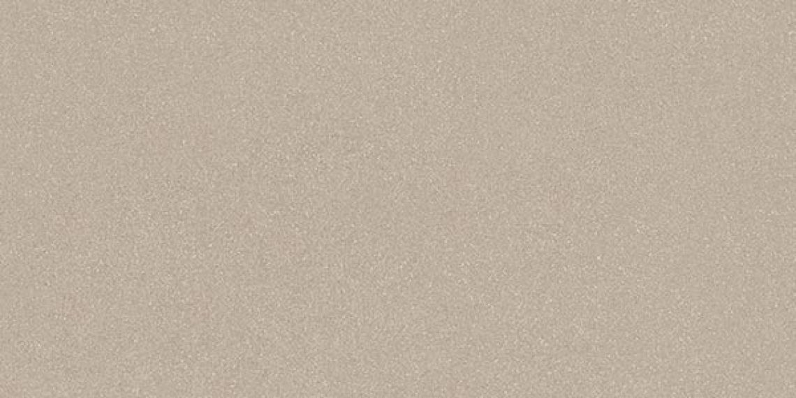 48BP Керамогранит Duo-R Greige R10 29,3x59,3
