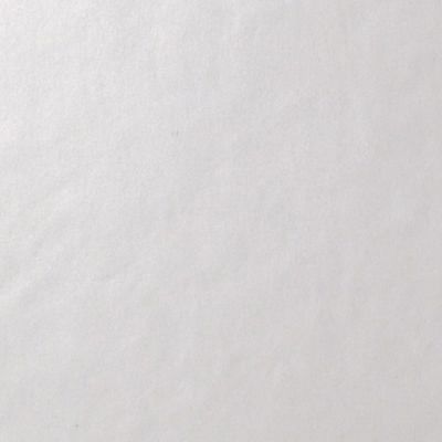 4957052 Architecture WHITE LEVIGATO 60x60