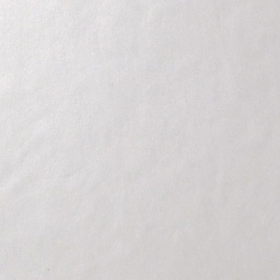 4957052 Architecture WHITE LEVIGATO 60x60
