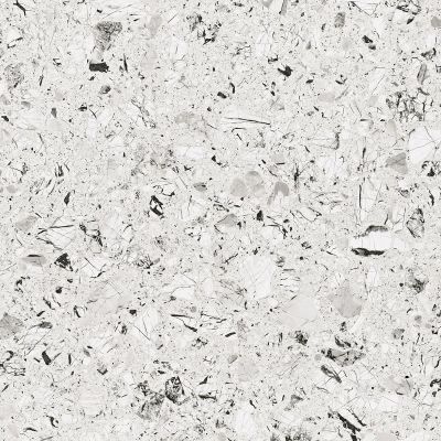 4X56 Luna-R Blanco Pulido 119,3x119,3