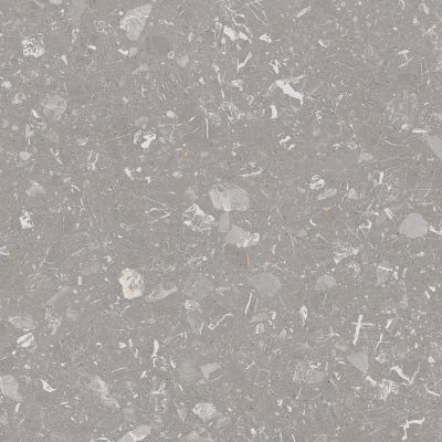 4X57 Luna-R Gris Pulido 119,3x119,3