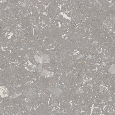 4X60 Luna-R Gris Pulido 79,3x79,3