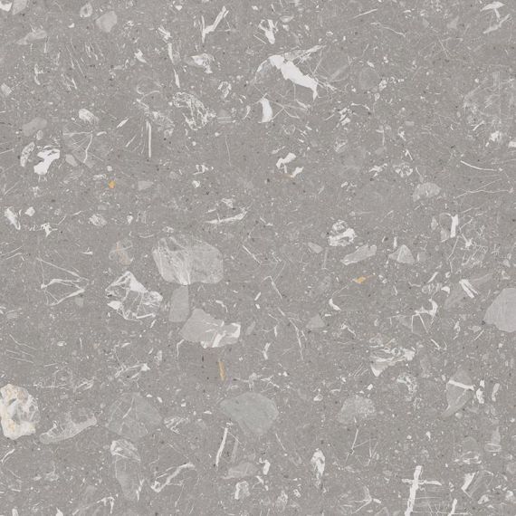 4X60 Luna-R Gris Pulido 79,3x79,3