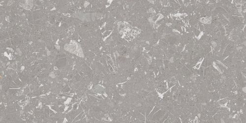 4ZLN Luna-R Gris Pulido 59,3x119,3
