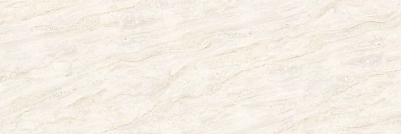 5003 Bone Arden 40x120
