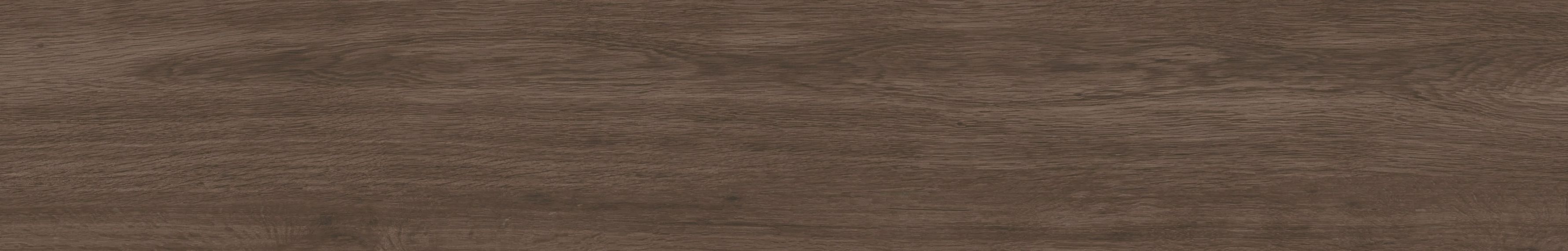 52005 Just NATURE NOCE SCUR 30x120