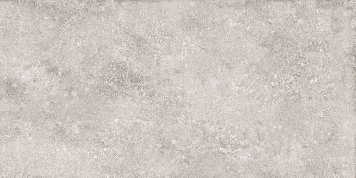 533 Verbier Dark 120х60
