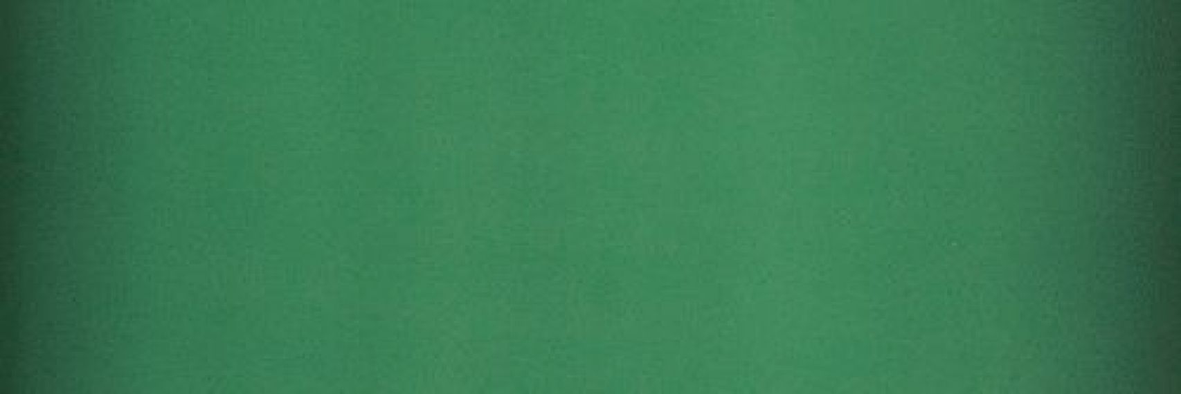 562222 SLIDE EMERALD SQ. 60X20