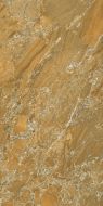 57569 Gold 20x40