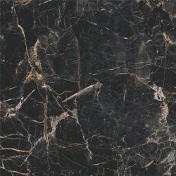 5903313317061 Marquina Gold POL 119.7x119.7