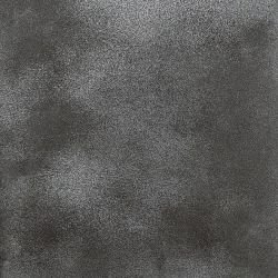 5L01 Fusion Platinum Lap. Liscia Rett 49x49