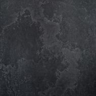 5L64 Pietra Lavica Gryphea 49x49