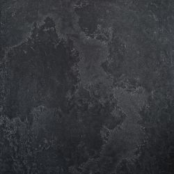 5L64 Pietra Lavica Gryphea 49x49