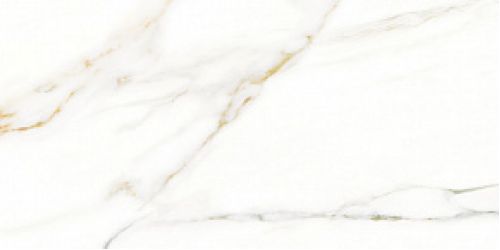 6000875 CAVA SAT/RET 30x60
