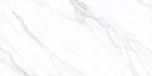 60120AMC15P American Calacatta 60x120
