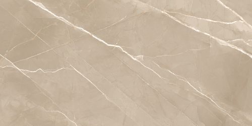 60120ESE21P Керамогранит Essential Marron полированный 600x1200x7