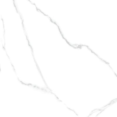 6060AMR00P Atlantic Marble 60x60