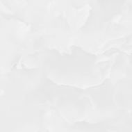 6060ICO00P Ice Onyx 60x60