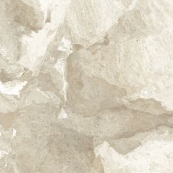 6060LBR11P Luxury Brown 60x60
