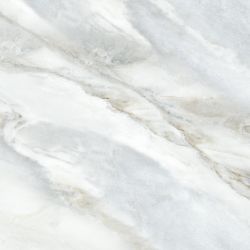 6060LMS01P Limestone 60x60