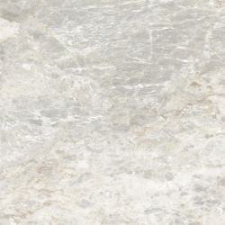 6060SIR25P Sirius Silver 60x60