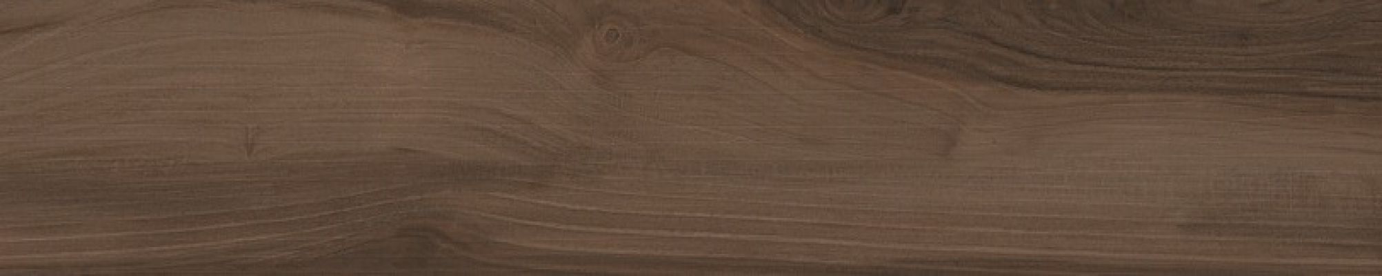 60950 SAVANNA COFFEE RET 20x100