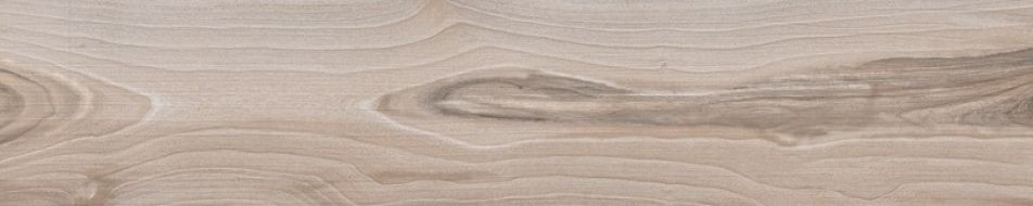 60952 SAVANNA DUST RET 20x100