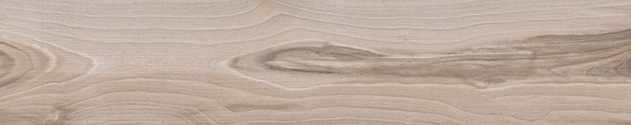 60952 SAVANNA DUST RET 20x100