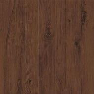 610010001162 Frame Oak LASTRA 60x60