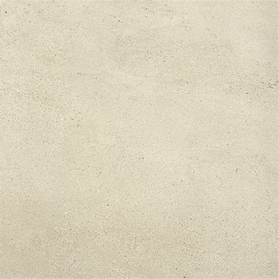 610010001400 WISE Ice Mist Ret 60x60