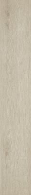 610010001418 Verity White 20x120