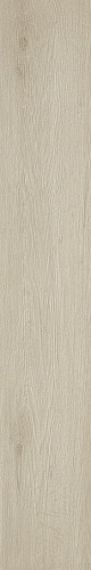 610010001418 Verity White 20x120